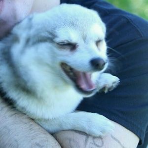 Meet your Posher, Cristal.